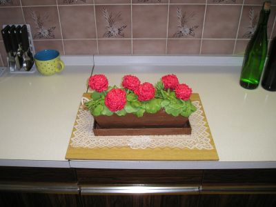 P1010019